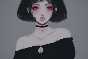 KAIYUNAPP-青少年体育培训机构管理规范，青少年体育培训机构基本情况