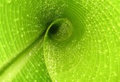 开云官方网站-世俱杯紧张气氛：东道主球队的精彩表现，2022世界杯东道主直接晋级比赛吗