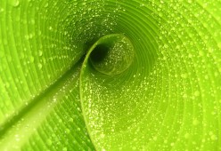 开云官方网站-世俱杯紧张气氛：东道主球队的精彩表现，2022世界杯东道主直接晋级比赛吗
