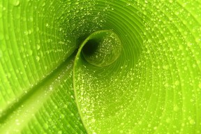 开云官方网站-世俱杯紧张气氛：东道主球队的精彩表现，2022世界杯东道主直接晋级比赛吗