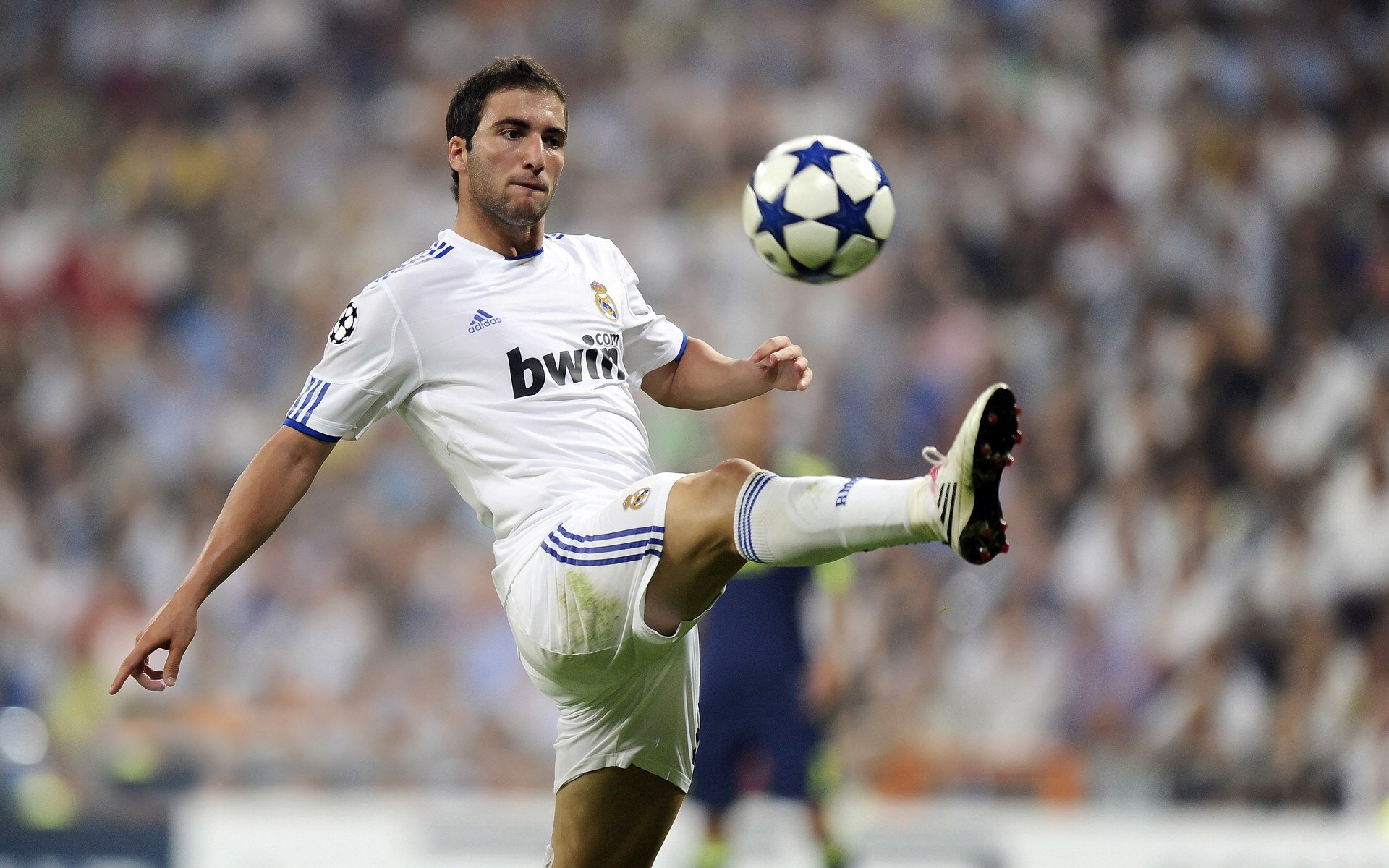 世界青少年羽毛球邀请赛掀起“羽毛狂潮”